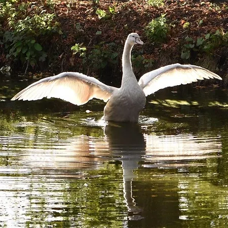 斯提维贝特酒店 酒店